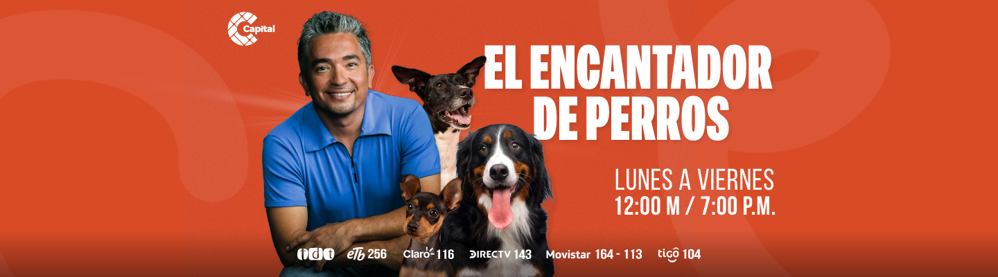 Banner: El encantador de perros - Tablet