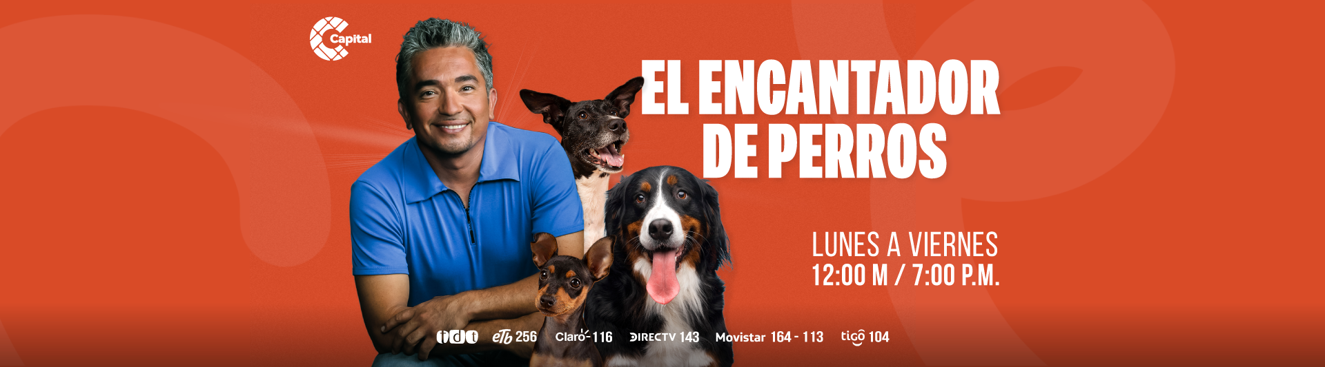 Banner: El encantador de perros - Desktop