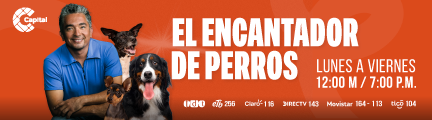 Banner: El encantador de perros - Mobile