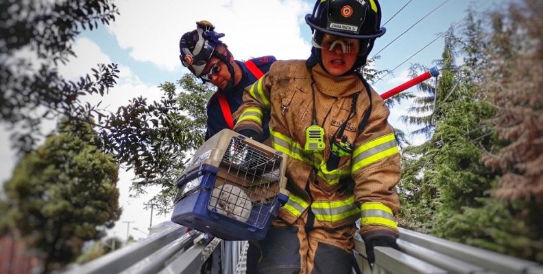 Grupo BRAE encargado del rescate de los animales en emergencias