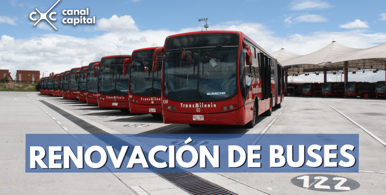 buses-min