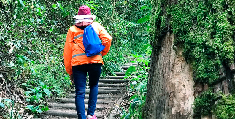 CAMINATA ECOLÓGICA