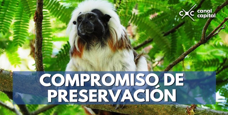 COMPROMISO-DE-PRESERVACIÓN