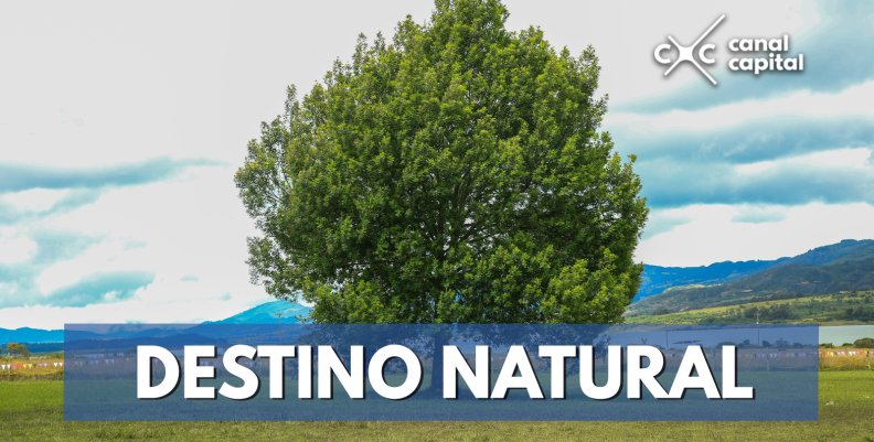 Destino-natural