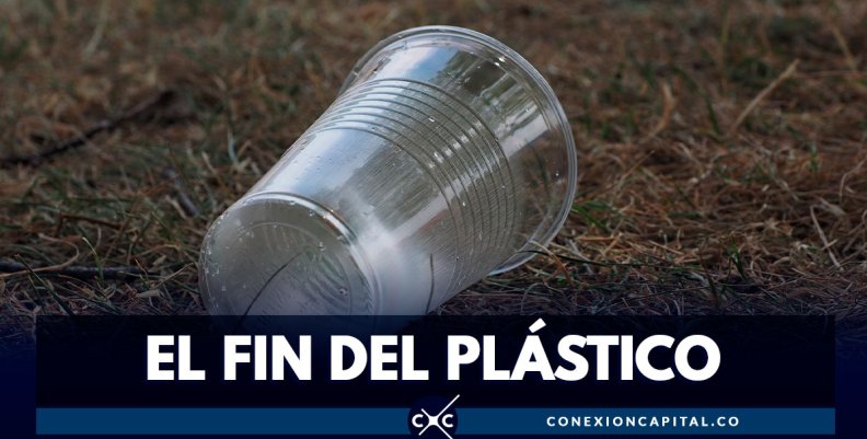 Joven científico encuentra el reemplazo de los vasos de plástico