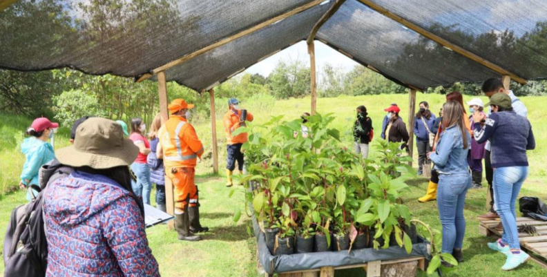 Vivero humedal de Bogotá.