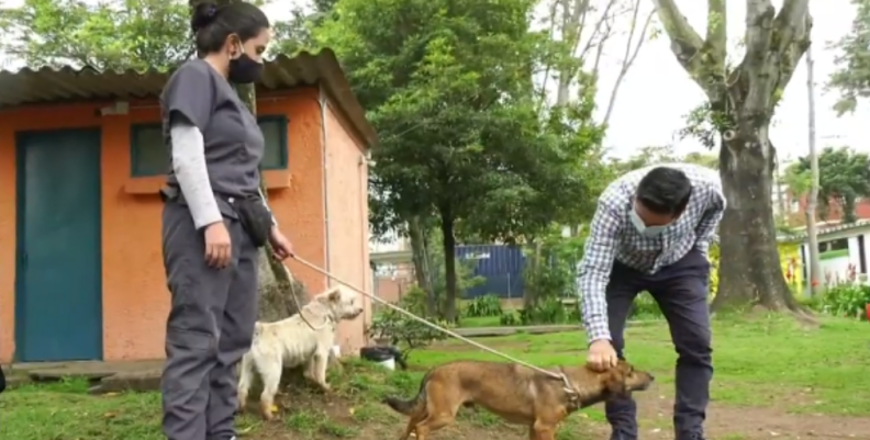 Instituto de Bienestar Animal