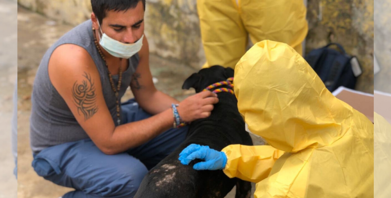 Jornada de salud de animales