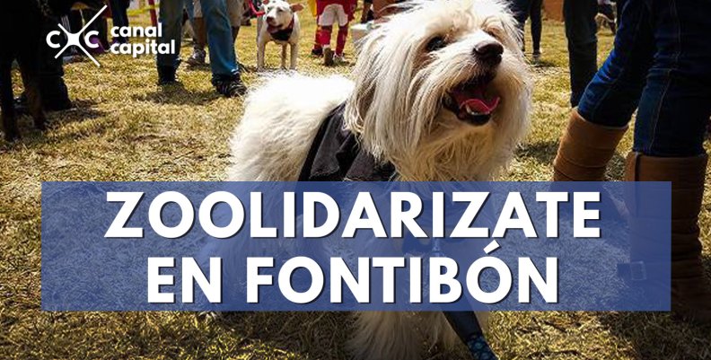 Brigada de salud animal en Fontibón