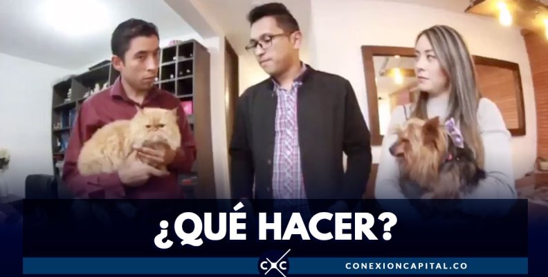 ¿QUÉ-HACER--