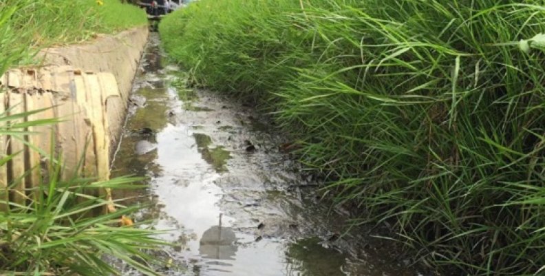 Distrito impondrá millonarias multas a quienes contaminen la ciudad