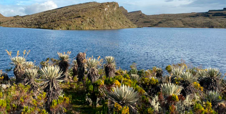 SUMAPAZ 2