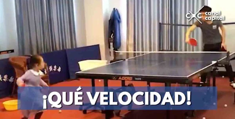 ping-pong