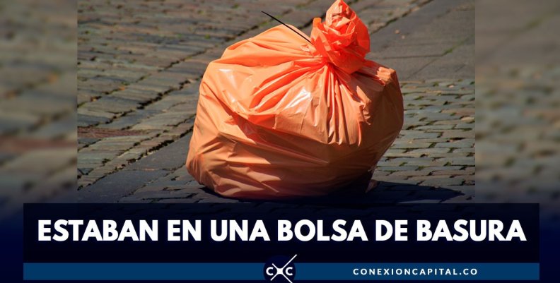 anmales-muertos-bolsa-basura