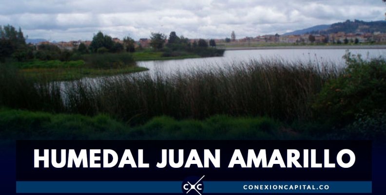 Humedal Juan Amarillo