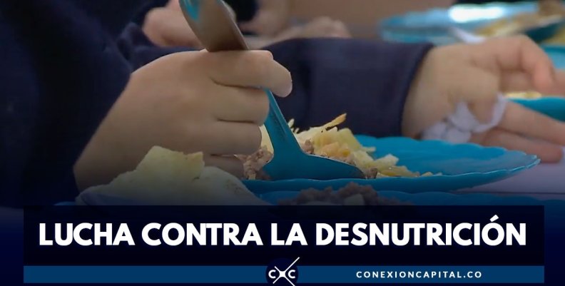 Lucha-Desnutrición