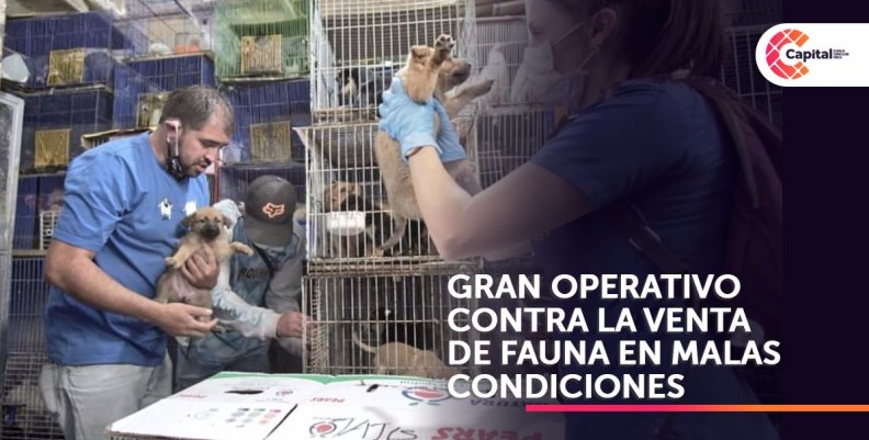 Gran operativo contra maltrato animal en Plaza El Restrepo