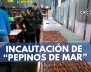 incautacion-pepinos-mar