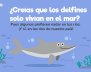 Delfines de río en Colombia Delfines de río  en Colombia