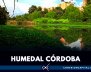 Solucionarán pleito por invasión en el humedal Córdoba