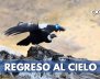 REGRESO-AL-CIELO