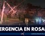 rosales