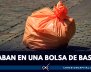 anmales-muertos-bolsa-basura