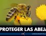 Protección de abejas