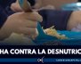 Lucha-Desnutrición