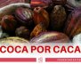 Coca po cacao