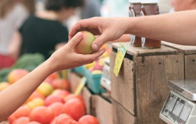 Alimentos