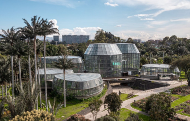 Jardín Botánico