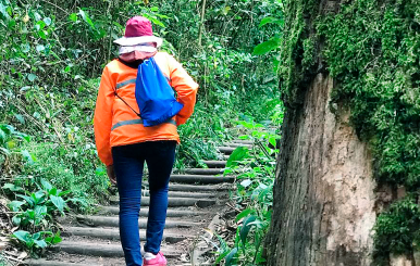 CAMINATA ECOLÓGICA