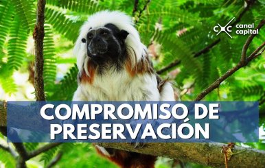 COMPROMISO-DE-PRESERVACIÓN