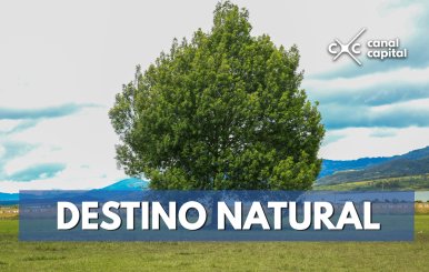 Destino-natural