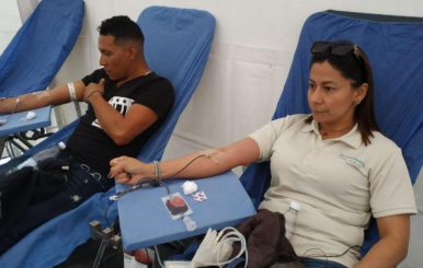 Donación de sangre