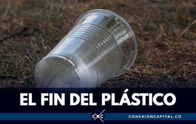 Joven científico encuentra el reemplazo de los vasos de plástico