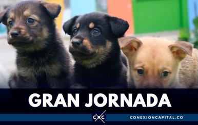 gran-jornada