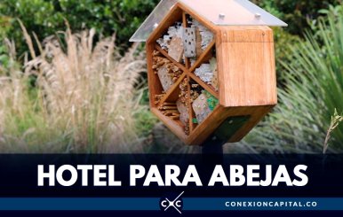 Hoteles para abejas en el Jardín Botánico