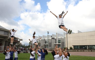 Festival de Porras