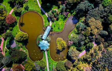 JARDÍN BOTÁNICO