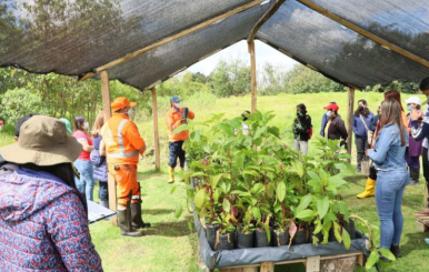 Vivero humedal de Bogotá.