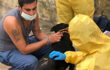 Jornada de salud de animales