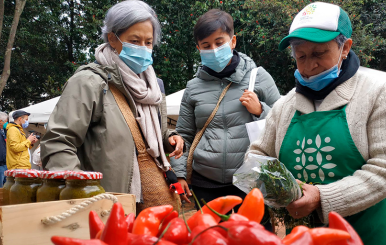 MERCADOS CAMPESINOS (JARDÍN BOTÁNICO)