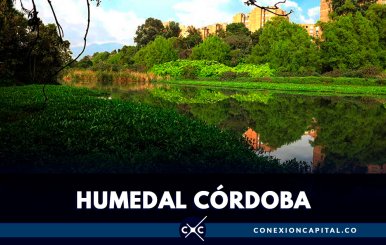 Solucionarán pleito por invasión en el humedal Córdoba