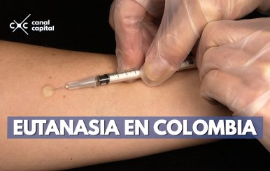 Eutanasia: ¿muerte asistida para terminar con un sufrimiento intratable?