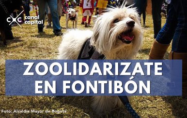 Brigada de salud animal en Fontibón