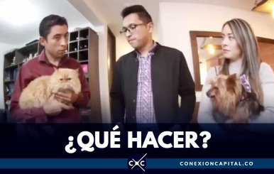 ¿QUÉ-HACER--