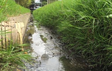 Distrito impondrá millonarias multas a quienes contaminen la ciudad