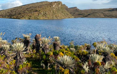 SUMAPAZ 2